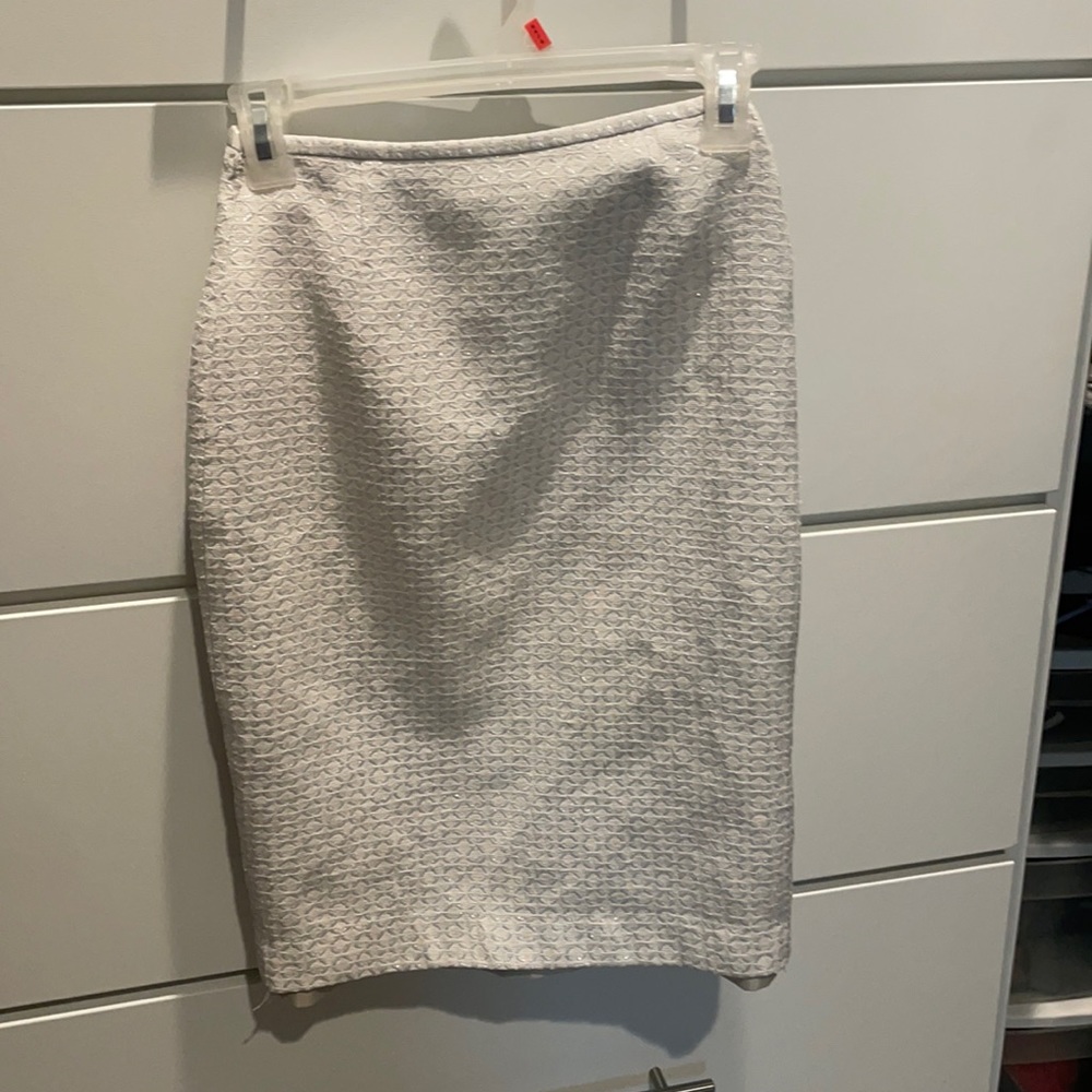Sparkly Skirt
